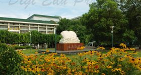 Wuhan University of Technology-campus1