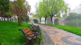 Anhui-Polytechnic-University-Courses-&-Tuition-Fees