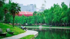 Anhui-Polytechnic-University-Bachelor-Courses