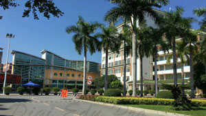 Youjiang Medical University for Nationalities